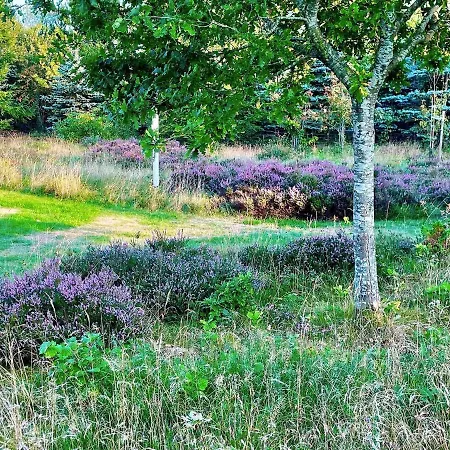 Holiday Home Saeby Cxxiv * Sæby